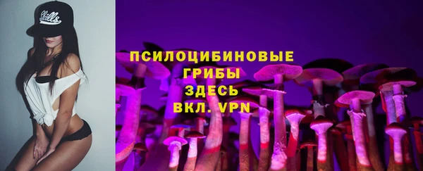 эйфоретик Алексин