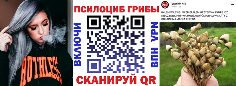Галлюциногенные грибы Psilocybine cubensis  площадка телеграм  Кимры  наркотики 