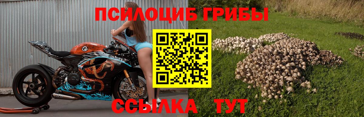 дарнет шоп  Псилоцибиновые грибы Cubensis  Кимры  Вход с VPN  Галлюциногенные грибы ЛСД 